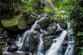 Aberdare Water Conservation