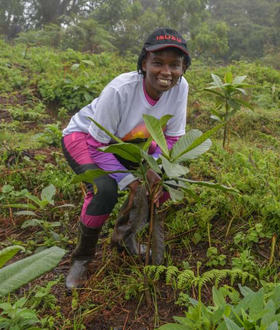 Conservation Efforts